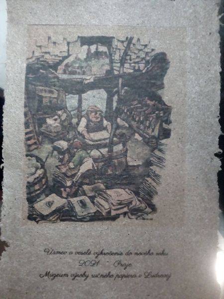 Krídlatka japonská je krásna rýchlo rastúca rastlina dorastajúca do výšky okolo dvoch metrov. Často sa využíva v tradičnej čínskej medicíne.  Je to veľmi invázna rastlina, ktorá pri nepozornosti zaplieni veľké územia . Len tak pre zaujímavosť som skúsil z nej urobiť papier.