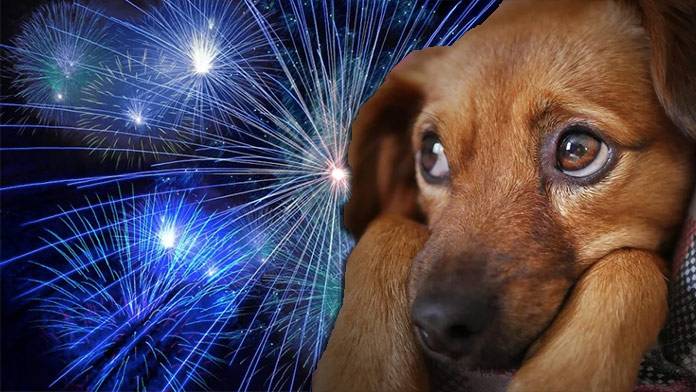 Prežite prelom starého a nového roka v našich horách s pokorou a ohľaduplnosťou voči prírode.