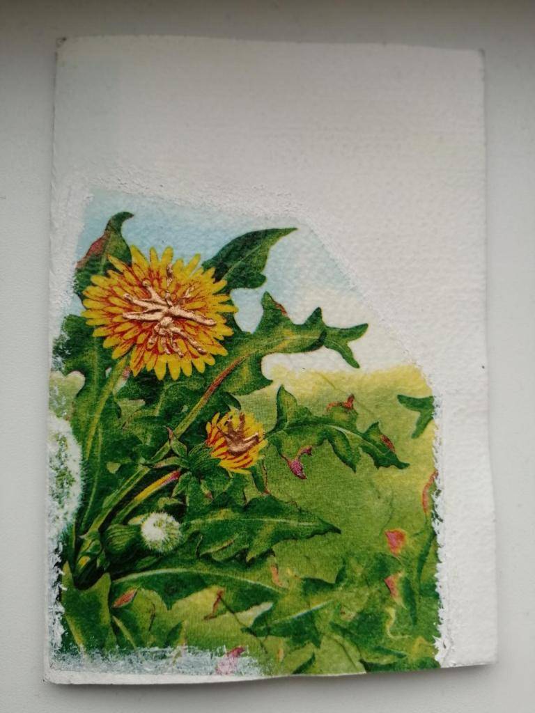 Aktuálna ponuka výrobkov Múzea