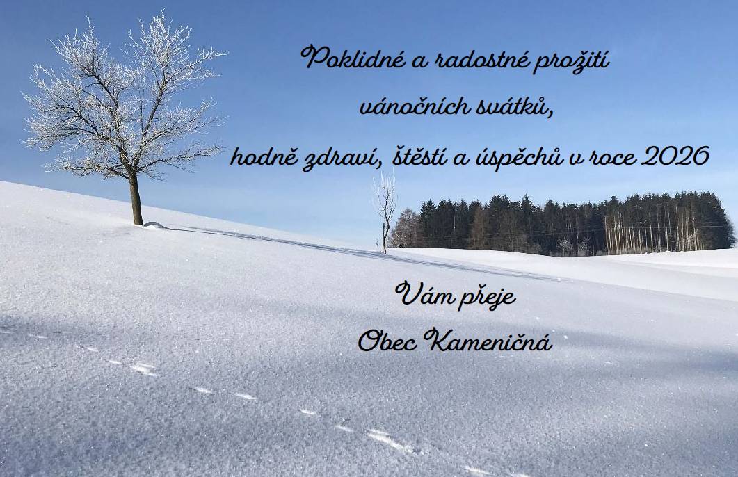 Přání k vánočním svátkům a novému roku.