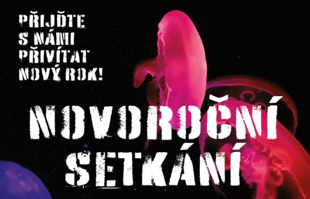 Přijďte s námi přivítat nový rok! V neděli 4.1. 2026 v 17 hod se na náplavce rozhoří ohně, připluje světlo, zavoní svařák a zrodí se příběh. Přijďte pobejt na náplavku! O program se postarají V.O.S.A Theatre a vypravěčka Dominika Šindelková.
