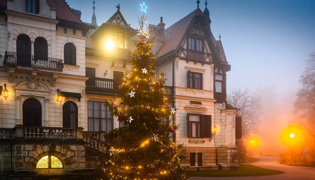 Zlín - Vánoce ve zlínské zoo odstartují v sobotu 20. prosince 2025. Areál zoo rozzáří originální světelná výzdoba, rozsvítí se vánoční strom na nádvoří zámku Lešná a u hlavního vstupu. Zoo Zlín prodlouží otvírací dobu do 16.30, pro všechny děti do 12 let pak chystá milý dárek. Od svátečního Štědrého dne až do neděle 4. ledna 2026 budou moci zavítat do zoo za symbolickou 1 korunu.