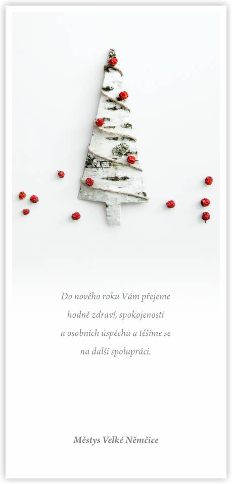 Přejeme všem občanům Velkých Němčic radostné a klidné prožití vánočních svátků v kruhu rodiny a Vašich blízkých. Do nového roku 2026 Vám přejeme hlavně pevné zdraví, štěstí, porozumění a mnoho osobních i pracovních úspěchů.