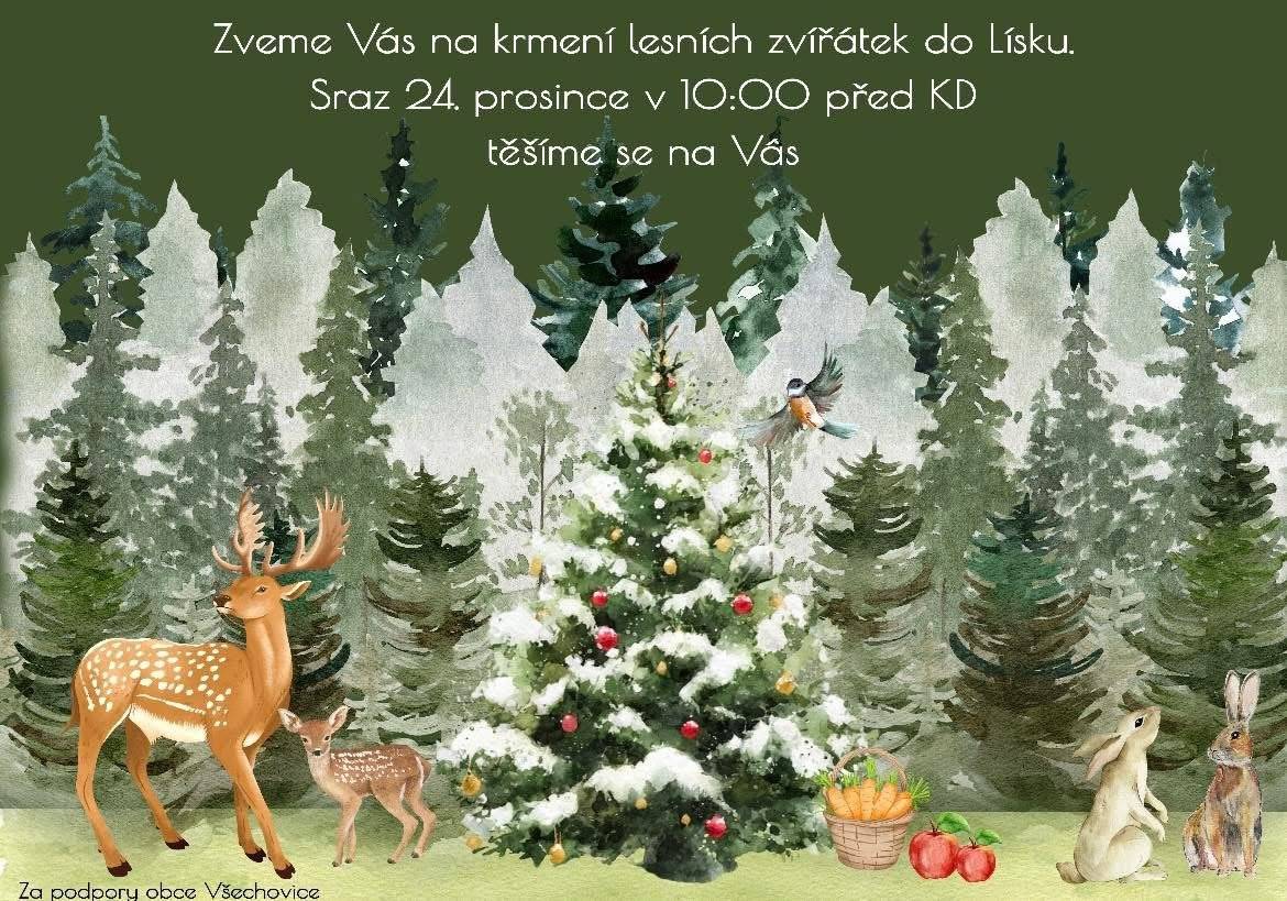 Stejně jako v loni se chystáme s rodinami a dětmi na procházku do Lísku 🌳 nakrmit lesní zvířátka 🦌🐿️. Přidejte se k nám 😊.  Sraz je 24. prosince v 10 hodin před kulturním domem ⏰🏠.  Těšíme se na vás ❤️🎄Spolek Záhora