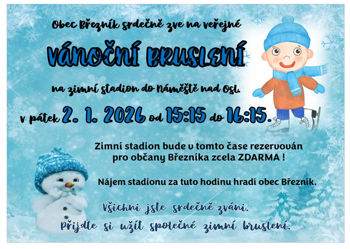 Plány na vánoční prázdniny 24.12. - koledy na hřbitově 27.12. - vánoční koncert 31.12. - silvestrovský svařák 2.1. - vánoční bruslení