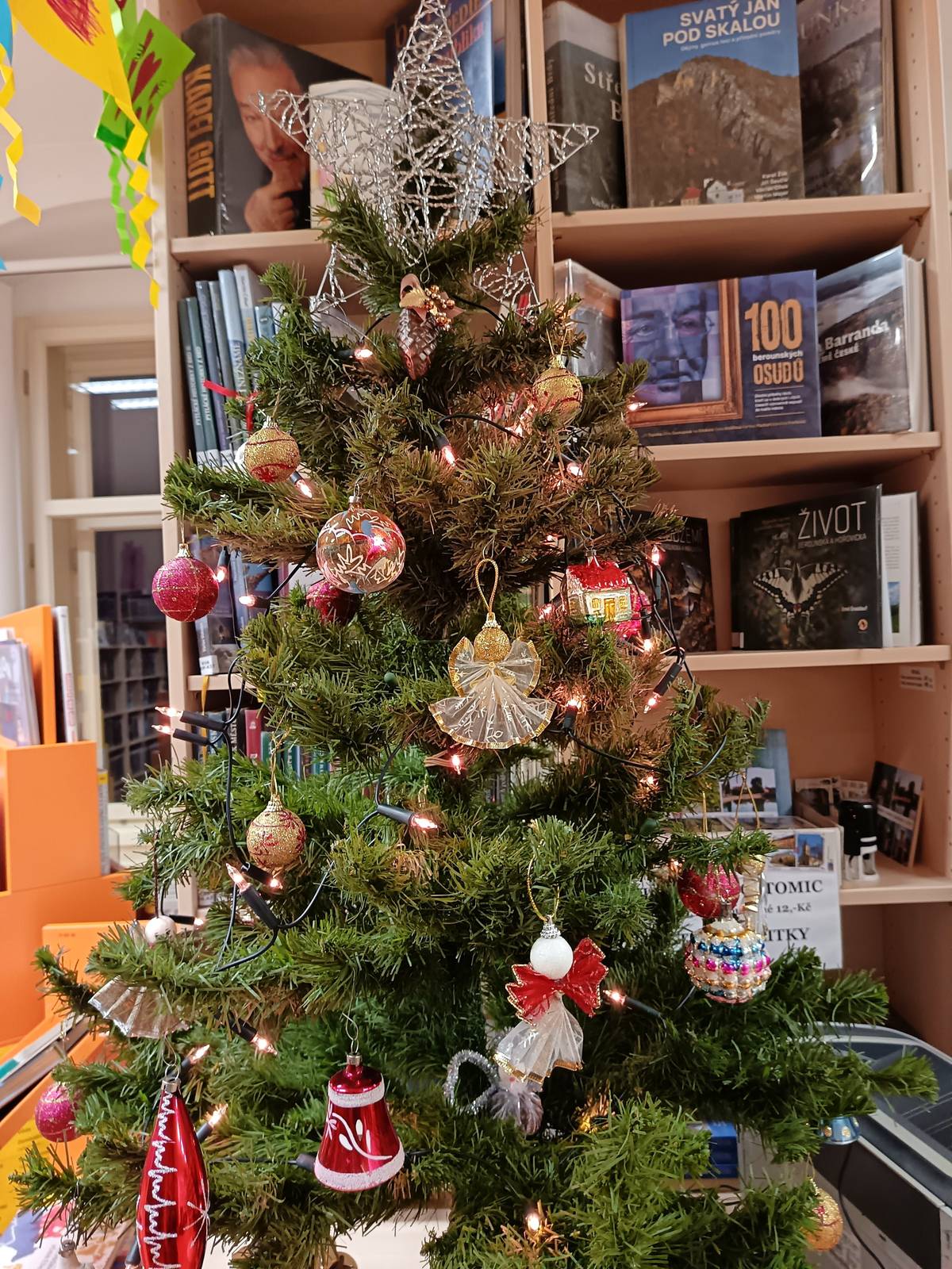 Krásné Vánoce, vše nejlepší a pevné zdraví v novém roce přeje Městská knihovna Hostomice.