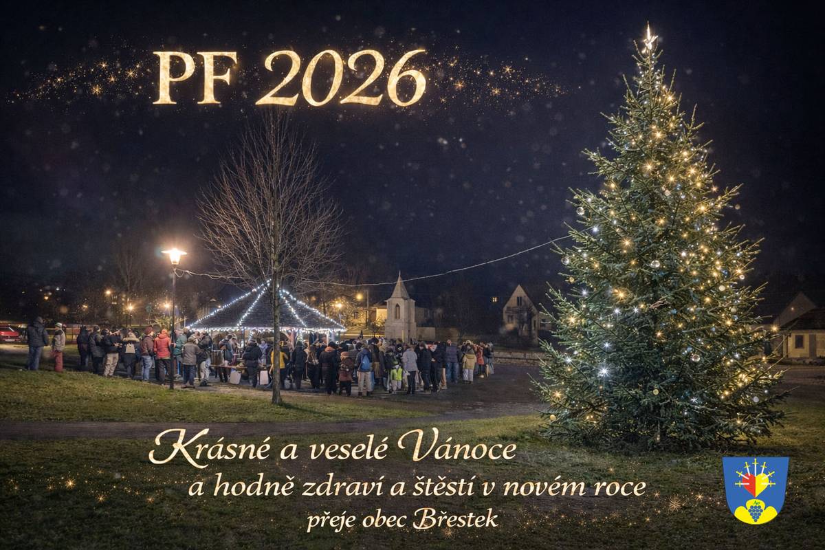 Konec roku je tady a s ním i čas se trochu zastavit. Děkujeme Vám za uplynulý rok. Přejeme všem klidné prožití vánočních svátků a do nového roku vykročení pravou nohou. Hlavně ve zdraví a v pohodě.