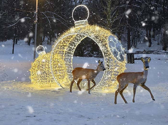 Radostné Vánoce plné klidu a pohody a do nového roku 2026 pevné zdraví a hodně osobních i pracovních úspěchů přeje Obecní úřad Pohořelice
