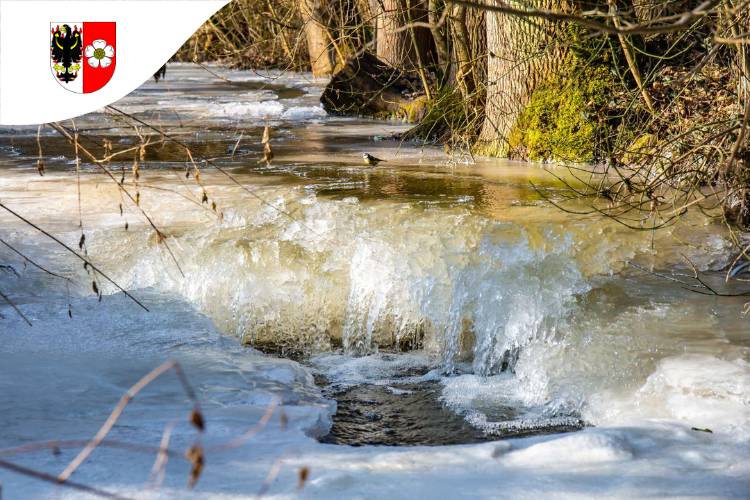 Přejeme Vám pěkné svátky a dobré vkročení do roku 2026.