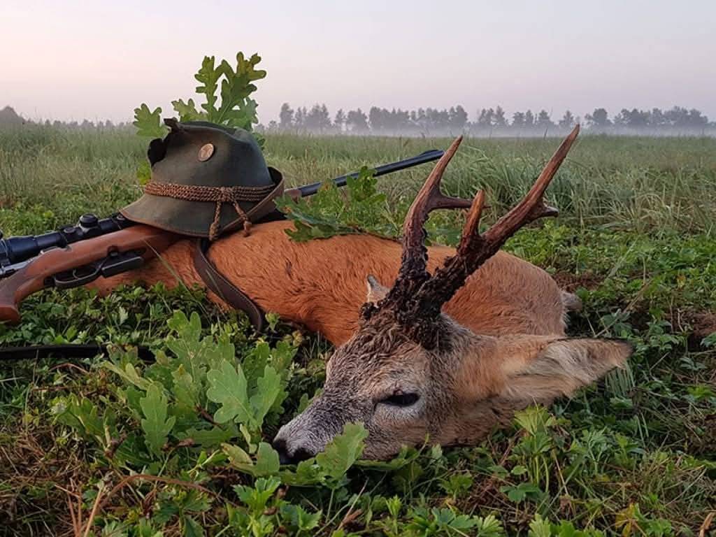 Kdy: sobota 10.1.2026 ve 20:00  Kde: KD Čejkovice