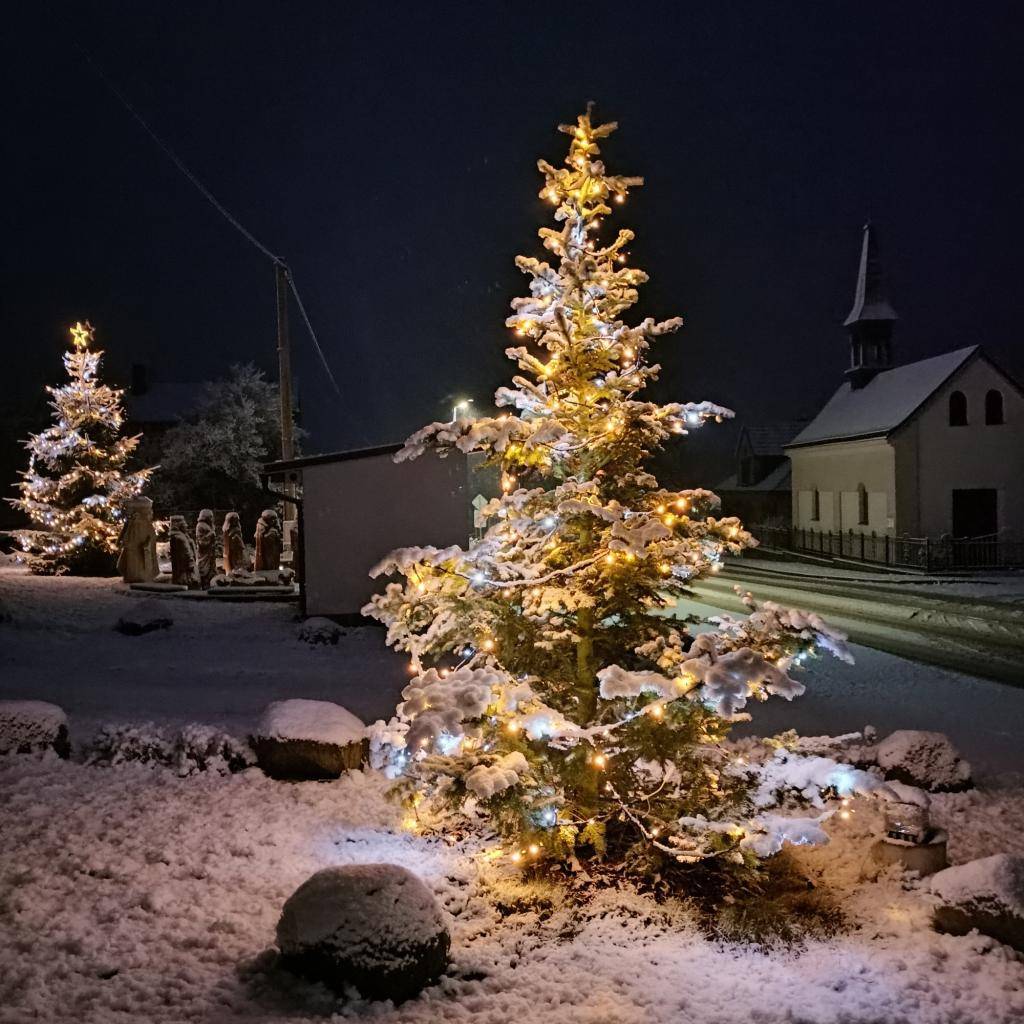 Radostné a požehnané svátky vánoční a v novém roce 2026  pevné zdraví, mnoho úspěchů a nekonečné množství příjemných chvil strávených s Vašimi blízkými a všemi lidmi dobré vůle,  přeje OBEC JENÍKOV.