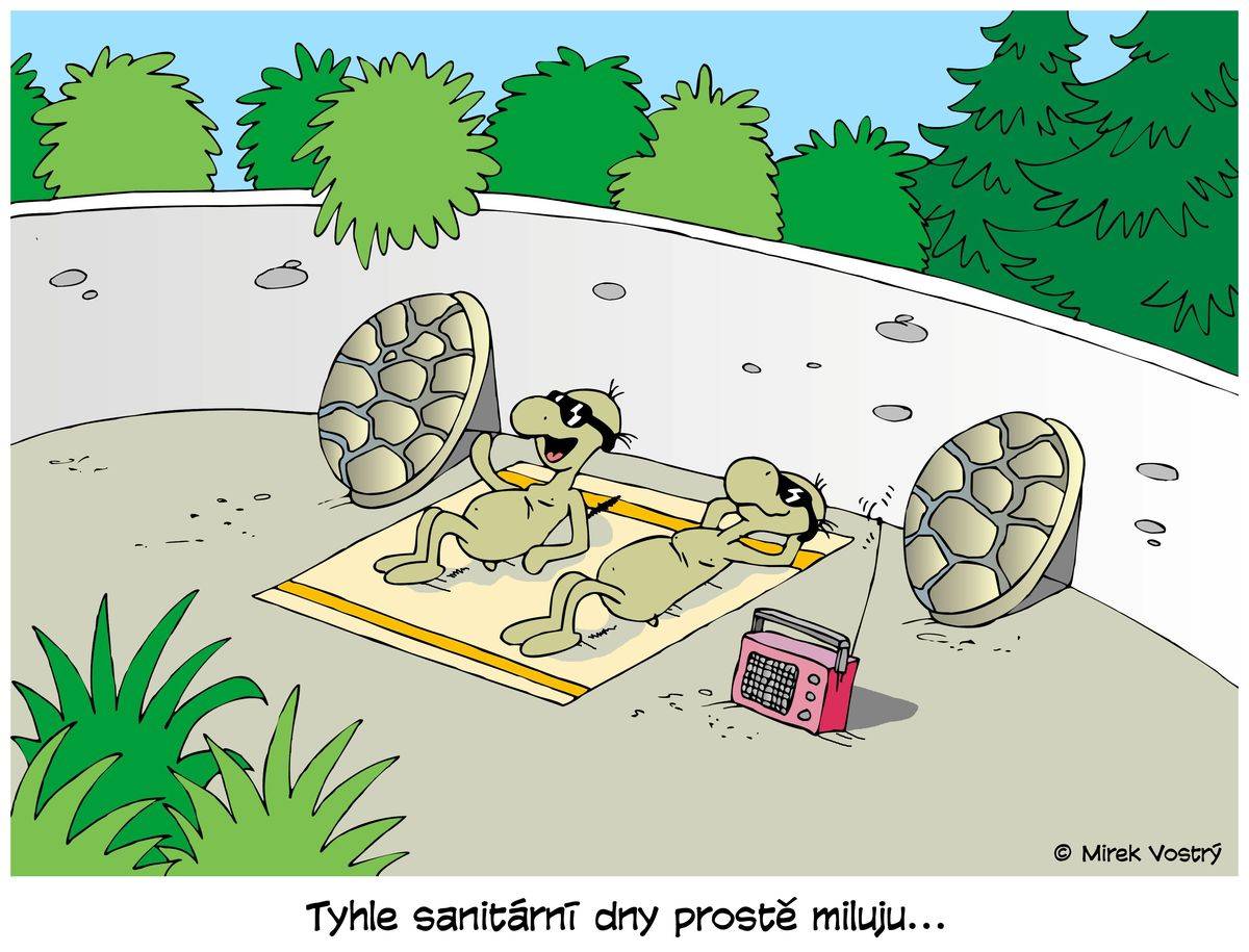 Jak to vypadá v ZOO, když je sanitární den