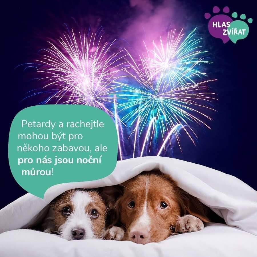 Od 1.12.2025 platí celostátní zákaz používání pyrotechniky. Podle § 35b zákona č. 344/2025 Sb. (změna zákona o pyrotechnice) nesmíte odpalovat pyrotechniku (mimo kategorii F1) ve vzdálenosti 250 metrů od: zdravotnických zařízení s lůžky, domovů pro seniory a dalších pobytových sociálních služeb, útulků, záchranných stanic a zoologických zahrad, objektů pro chov hospodářských zvířat. Mapu vymezených zón najdete např. zde: https://ohnostroje.pozemkov.cz/ V ní ní zjistíte že až na několik málo výjimek téměř celá naše vesnice v zastavěné části zahrnuta v zónách, kde se pyrotechnika nesmí používat. Na zastupitelstvu 17.12.2025 byla proto schválena a přijata  obecně závazná vyhláška č.4/2025 o regulaci zacházení s pyrotechnickými výrobky, která tento zákaz rozšířila na celé katastrální území obce. Zastupitelstvo tím chce zamezit možné koncentraci odpalování pyrotechniky v lokalitách, kde zákonný zákaz neplatí a také ji nepřesouvat do volné přírody, kam pyrotechnika nepatří už vůbec.  Příklady povolené pyrotechniky F1: Prskavky, bouchací kuličky, konfetové šampusky, motýlci, včelky, stroboskopy, dýmovničky.  Věříme, že tento zákaz budete respektovat a příchod nového roku oslavíte jiným způsobem. V novém roce Vám přejeme hodně zdraví a štěstí.