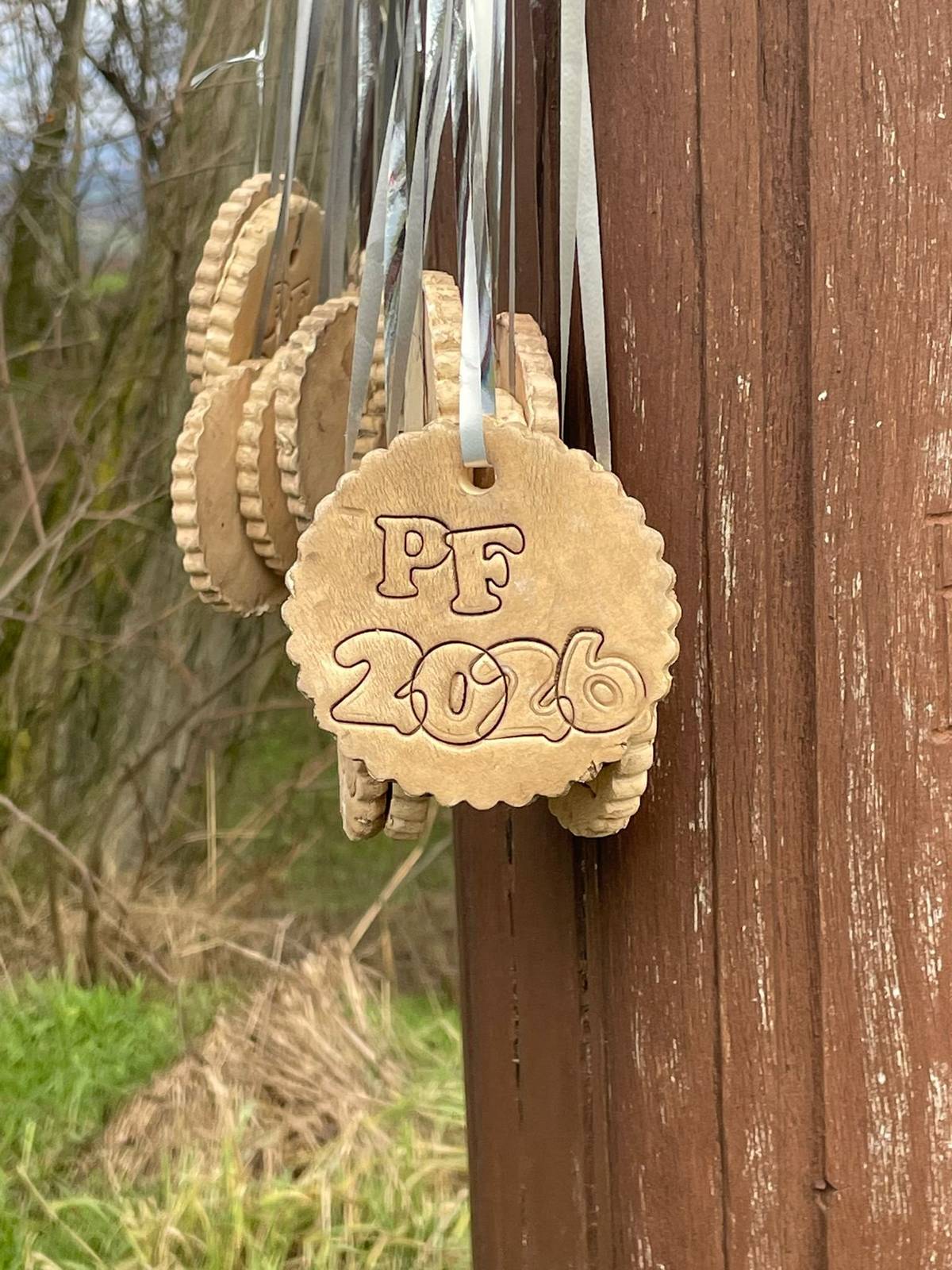 I v letošním roce jsme připravili pro ty, kdož vystoupí ve vánoční době na Předinu medaili za odměnu. Tato tradice jistě potěší zejména děti. Ale i rodiče se rádi projdou a udělají něco pro své zdraví.