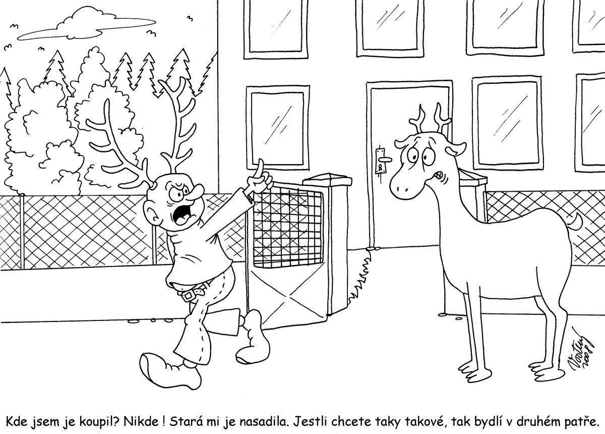 Jak nasadit jelenovi parohy?