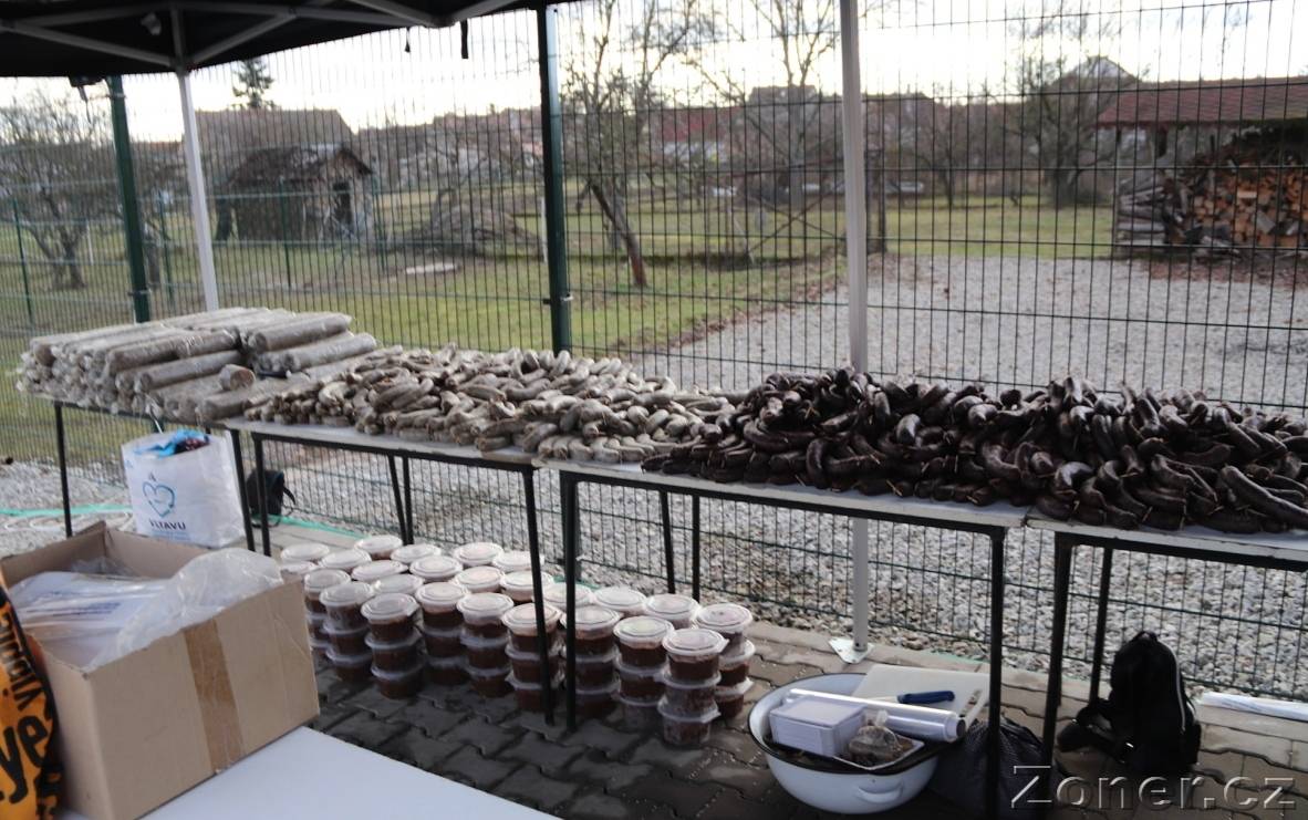 Takzvané vepřové hody, či obecní zabíjačka, proběhla v neděli 28.12.2025 za obecním přísálím v Tasovicích. Děkujeme všem dobrovolným řezníkům, pomocníkům a všem, kteří se jakkoli podíleli na této pěkné obecní akci.