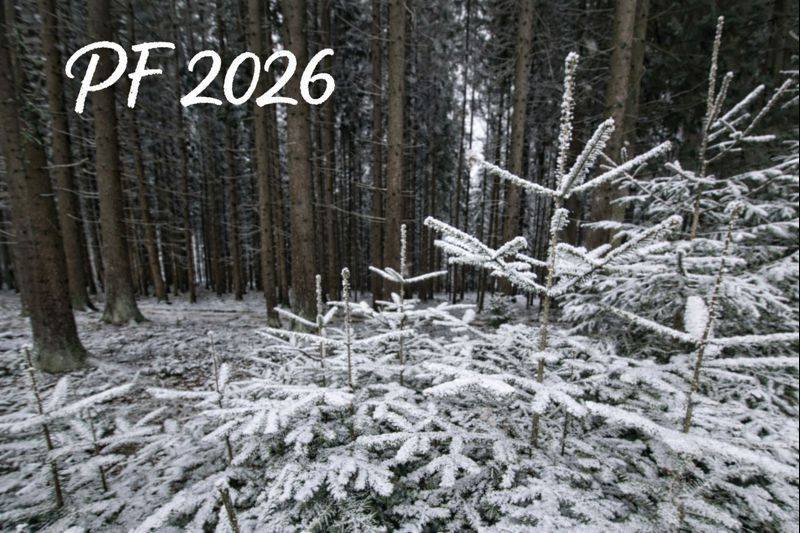 Úspěšný vstup do nového roku, spoustu radosti a splněných přání přeje OÚ Vodranty.