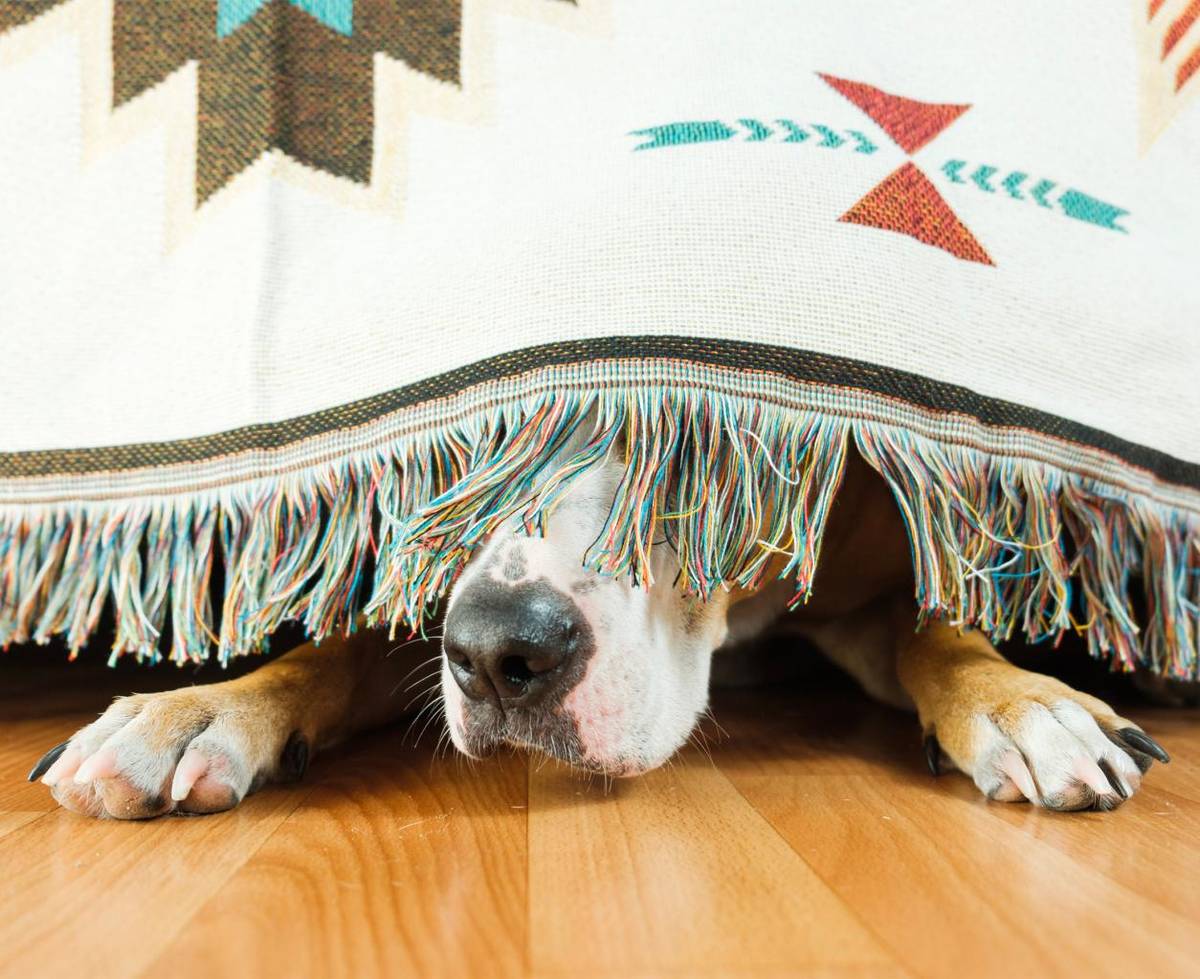 V obci Hrabušice platí VZN o zákaze používania zábavnej pyrotechniky aj počas silvestrovskej noci.