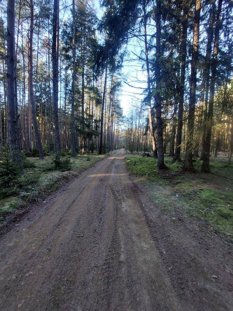 Začněte nový rok pomalu. V tichu lesa.  V lese nad Prostiboří se nachází pět kamenných křížů – nenápadných, různých tvarů i velikostí, rozesetých v prostoru, kudy kdysi vedla stará zemská cesta.