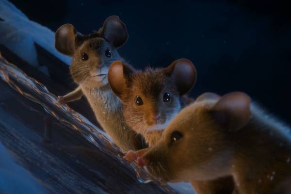 02.01.26 15.00  V klidném domečku na venkově si myší rodina žije svůj uspořádaný život – až do chvíle, kdy se do domu nastěhuje nic netušící lidská rodina z města. Jejich snaha o klid a odpočinek se rychle mění v boj o prostor, pořádek a... sýr. Začíná zábavný a napínavý souboj dvou světů...