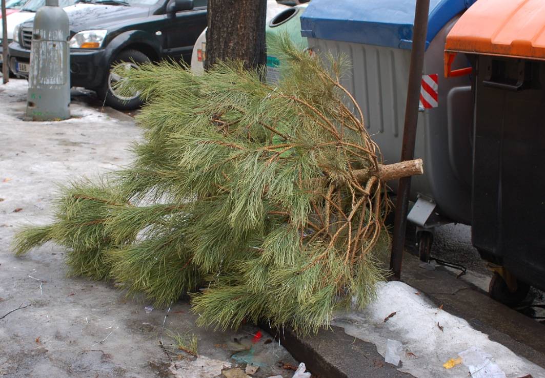 Tak jako v minulém roce budeme i letos odvážet již nepotřebné vánoční stromky od Vašich nemovitostí. Svoz proběhne každé lednové pondělí. Stromky přistavujte během víkendu před své nemovitosti na ulici, plně odstrojené, bez plastových ozdob (stromky poputují na kompostárnu).