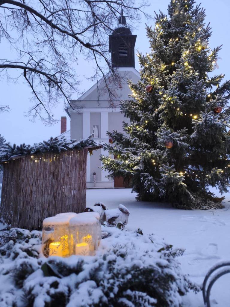 Milí obyvatelé Karlína, s příchodem nového roku vám přeji především pevné zdraví, osobní pohodu a mnoho důvodů k radosti a spokojenosti. Ať je to rok plný dobrých zpráv, sousedské soudržnosti a příležitostí, které nás posunou zase o kousek dál. Děkuji vám za důvěru a spolupráci.  Krásný nový rok!