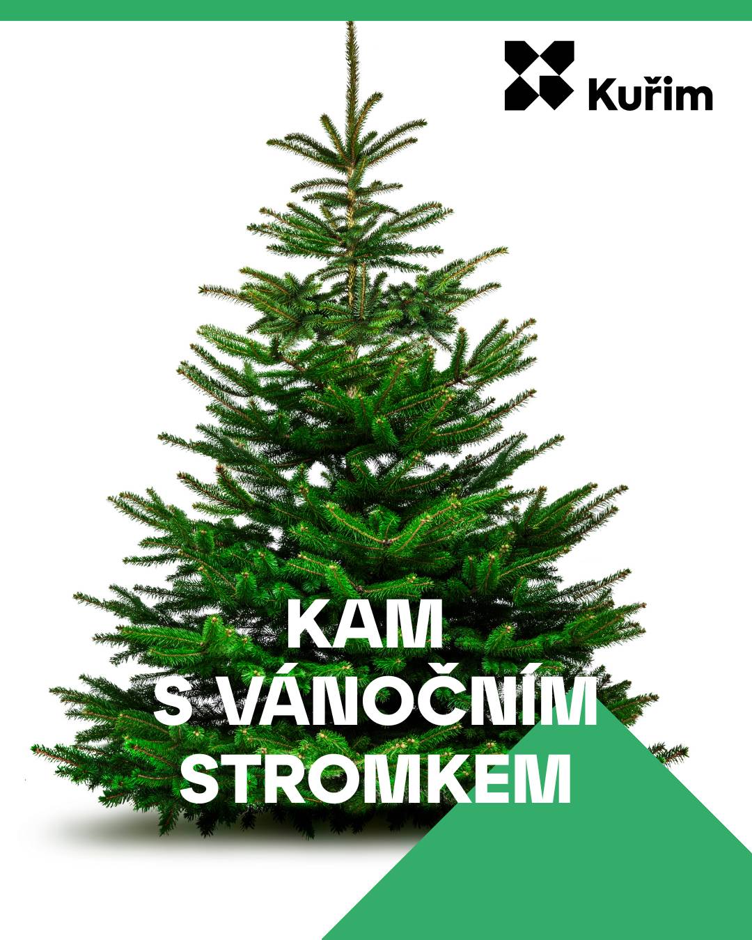 Pokud stromek nezpracujete na vlastní zahradě, prosíme, odneste jej na sběrná místa, odkud je bude svážet CTS Kuřim, s.r.o. 📍 Sběrná místa v Kuřimi: – Na Královkách za Optikou, vjezd z ulice U Stadionu – Bezručova – roh ulic Na Zahrádkách a Bezručova – Popkova – za obchodem u kontejneru na elektroodpad – Školní – uprostřed mezi bloky – Nádražní – u kontejnerů – Na Loučkách – u velkého parkoviště u ulice U Potoka – Na Loučkách – velké parkoviště naproti ZŠ Tyršova – Brněnská – u kontejnerů (naproti firmě Ford) – Brněnská – u kontejnerů na papír a plast (u LPG) – Díly – za prodejnou Lidl u kontejnerů – Díly, Metelkova – slepá ulice, na konci u kontejnerů – Wolkerova – Úvoz – u panelového domu V dalších částech města ponechejte stromky u kontejnerů na směsný nebo tříděný odpad, ideálně soustředěné na jednom místě. Prosíme, neodkládejte stromky volně po okolí nebo je nevyhazujte z oken – zbytečně tím vznikají další náklady na úklid. Děkujeme, že pomáháte udržovat Kuřim uklizenou.