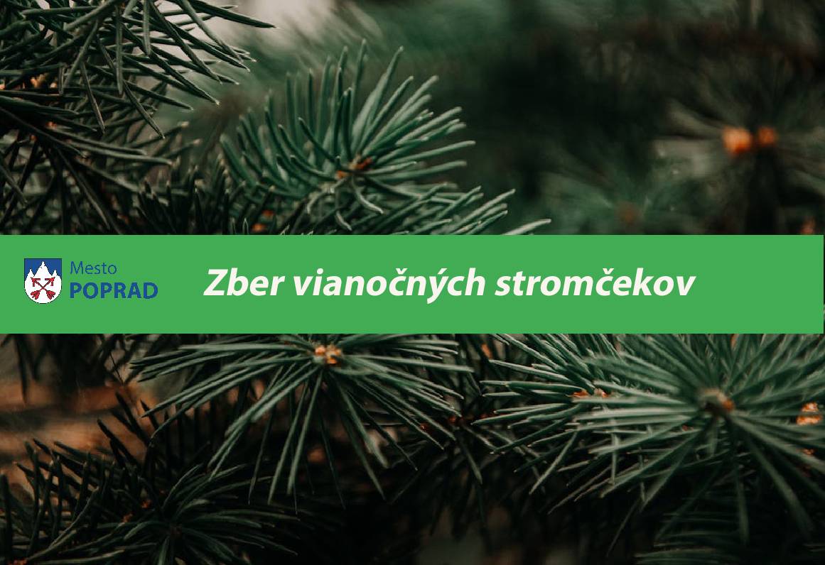 Mesto Poprad ako každý rok po vianočných sviatkoch od 07.01.2026  začne so zberom a likvidáciou živých vianočných stromčekov. Stromčeky  musia byť kompletne zbavené všetkých ozdôb.  V sídliskových častiach mesta bude zber prebiehať v mesiaci január každý týždeň pondelok a utorok a v mesiaci február každý druhý pondelok a utorok. Obyvateľov sídlisk žiadame, aby živé vianočné stromčeky ukladali na stojiská kontajnerov tak, aby neboli porozhadzované po celom sídlisku.  Pri rodinných domoch bude zvoz stromčekov realizovaný v mesiaci január v pondelky, utorky a v mesiaci február v súlade s harmonogramom biologicky rozložiteľného odpadu. V tomto prípade stačí vyložiť stromček pred rodinný dom.  Ďalšou možnosťou pre obyvateľov mesta Poprad je, že sa svojho vianočného stromčeka môžu zbaviť na Zberných dvoroch na Ul. L. Svobodu a na  Hraničnej ulici.   Každý vianočný stromček bude zoštiepkovaný a zhodnotený.