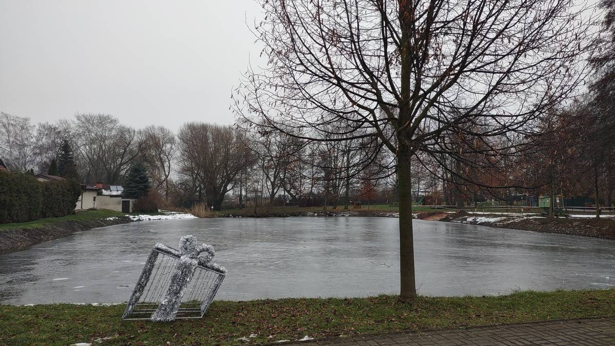 Dobrý den, dnes hodný soused David Fabián měřil mocnost ledu na rybníku a naměřil všude 10-13cm. Bylo nás několik dospělých lidí na rybníku a led držel. Můžete si tedy nabrousit brusle a využít mrazů k bruslení, hokeji a dalším hrám :)))  Samozřejmě platí obezřetnost, doprovod dospělých, poučení dětí.  Na ledě jsou přimrzlé větve a kameny, jak děti zkouší pevnost ledu. Prosím poučte děti doma, že na led ani do vody se samozřejmě nic nehází. Také kachny, vodní ptactvo ani nutrie se nekrmí, už vůbec ne pečivem. Na břehu je spousta krajíců chleba, hodně ho plave i ve vodě. Děkujeme Když napadne sníh, je dobré ho hrablem z ledu shrabat. To vždy zabezpečovali rodiče bruslících dětí a mládež, kteří to dále učí ty mladší a tato péče o led se předává dalším generacím :) Hrablo bývá dobré vyrobit doma, jde to pak lépe ;)  Přejeme hodně zábavy a ať vám jde bruslení samo :)