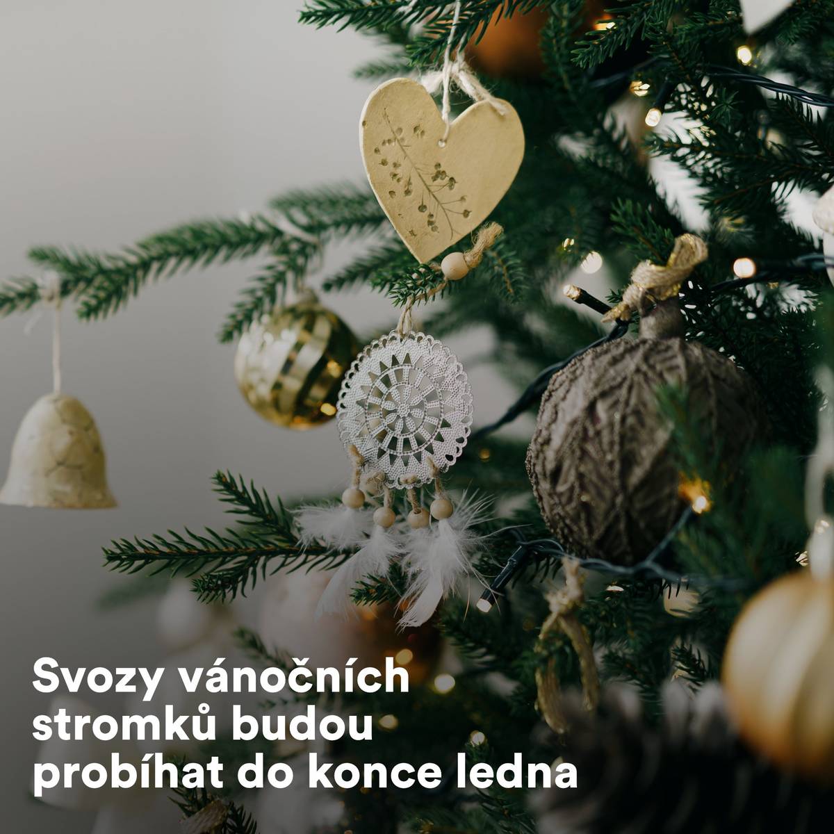 Vážení občané, své vánoční stromky můžete odedneška odkládat ke stání tříděného odpadu. Odsud je každé pondělí a pátek svezou technické služby. Svozy budou probíhat do konce měsíce ledna.