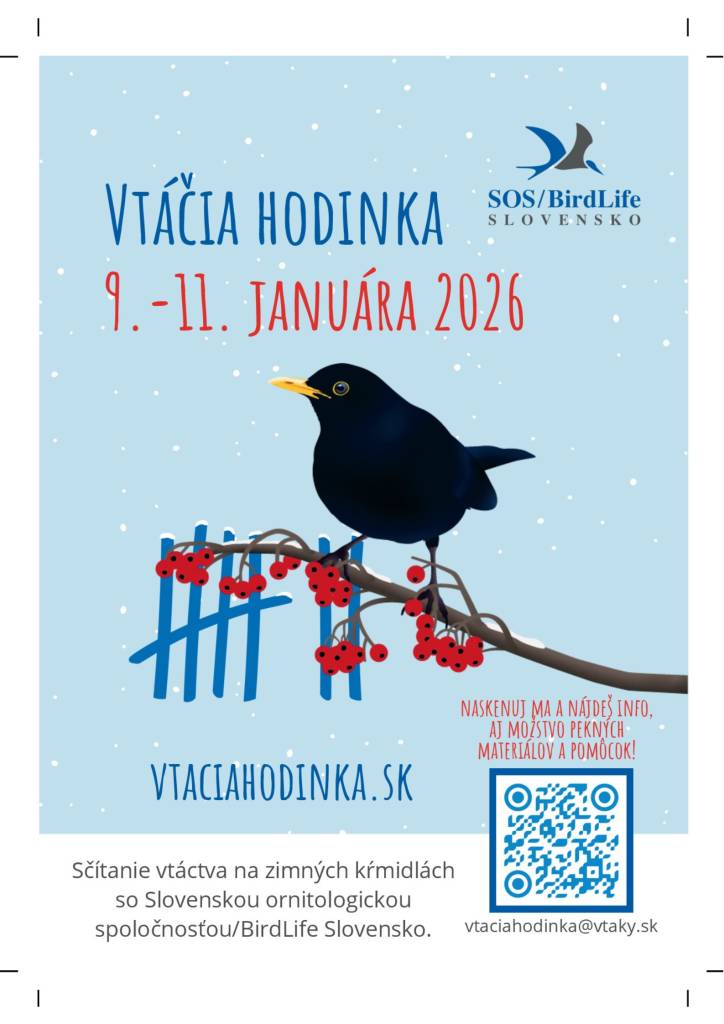 Sčítanie prebieha od piatku do nedele v termíne 9. – 11. januára 2026