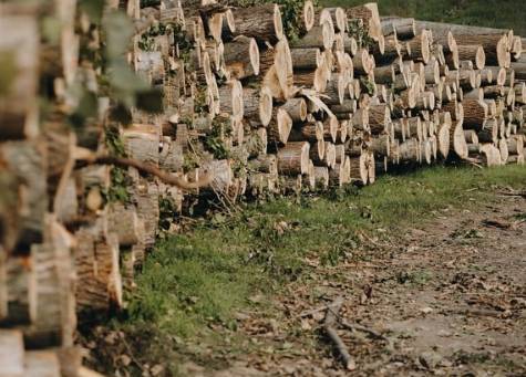 Firma Deblice - lesy vyhlašuje akci na palivové dříví. Doprava za poloviční cenu, snížení cen na nejnižší úroveň v roce a podpalovače zdarma - pro objednávky do konce února. Více informací na www.deblicelesy.cz.