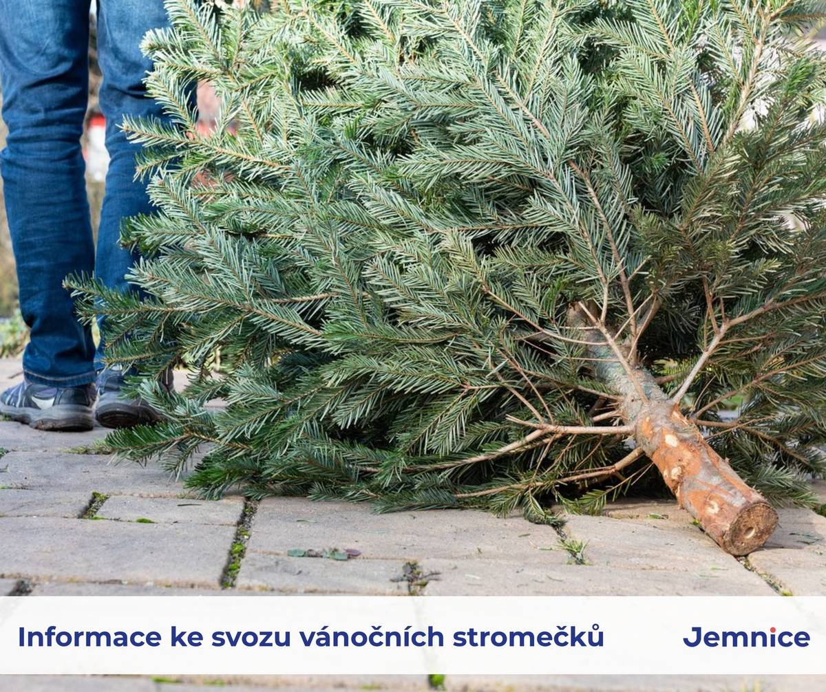 Vážení spoluobčané, dovolujeme si Vás upozornit, že svoz odstrojených vánočních stromečků bude probíhat každé pondělí a pátek v průběhu ledna. Zanechat je můžete u kontejnerových stání na tříděný odpad, odkud je bude Správa majetku města hromadně odvážet. Přejeme Vám krásné a pohodové nadcházející zimní dny!