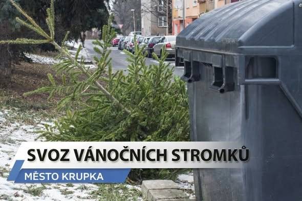 Město Krupka zajišťuje postupný svoz použitých vánočních stromků. Technické služby stromečky svážejí průběžně – podle aktuálních možností – až do jarních měsíců.  Prosíme občany, aby odstrojené stromky nevhazovali do popelnic, ale odkládali je ke stanovištím nádob na komunální odpad.   Děkujeme za ohleduplnost a spolupráci.