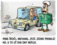 Zodpovědný řidič