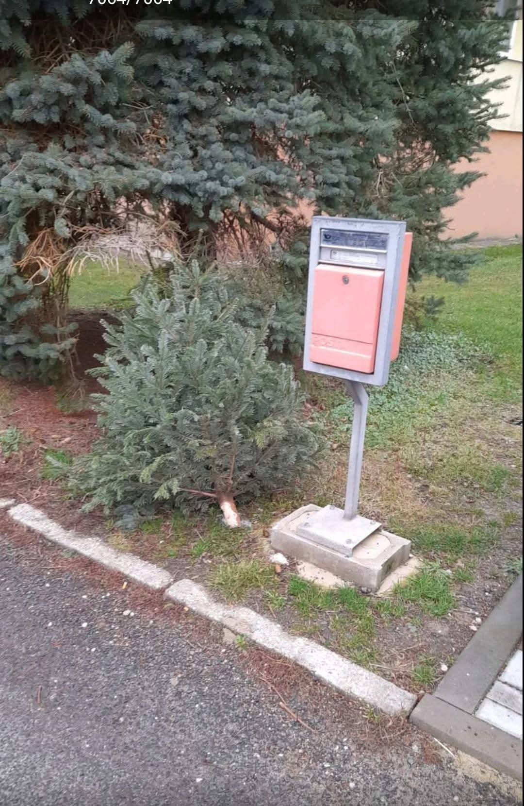 Začne nám první ucelený pracovní týden roku 2026, tak zde pár organizačních drobností.  1) Nemáte-li to vyřešeno jinak (nemyslím tím pohozením kdekoliv), lze odstrojený, háčků a ozdob zbavený stromek odložit ke stanovišti BIOODPADU ve sběrném dvoře (mezi budovami) nebo do kontejneru u paneláků.  2) V pondělí se pojede svoz směsného komunálu městského okruhu, ale až po provedení brzké ranní zimní údržby. Pokud bychom někomu nádobu nevyvezli, doladíme to následující den.  Popřejme si ještě jednou klidný a úspěšný rok. Josef Málek, starosta