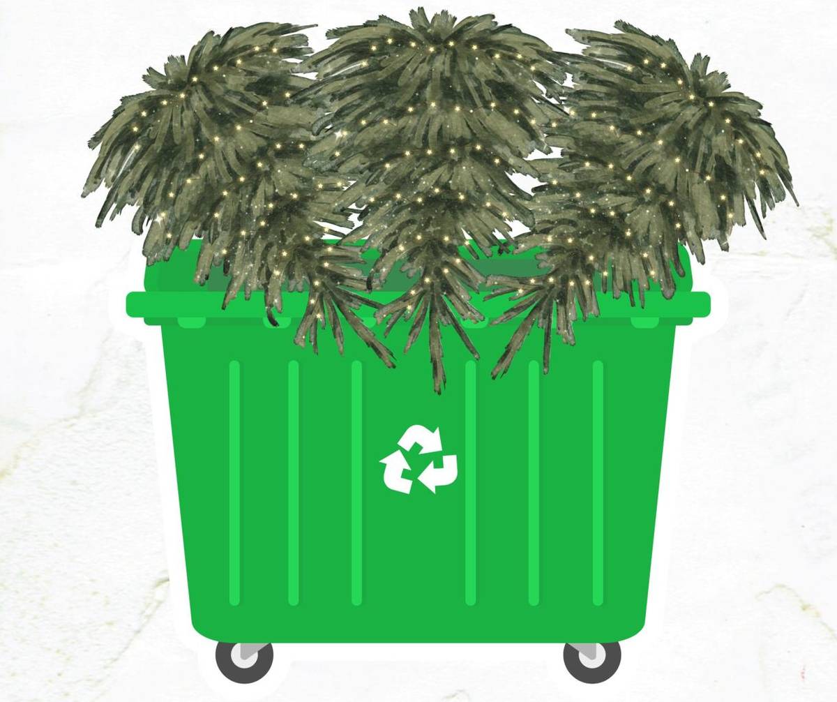 Informujeme občany, že vánoční stromečky lze odkládat do kontejneru umístěným před sběrným dvorem. Prosíme, neodkládejte je do hnědých kontejnerů na bioodpad. Děkujeme.
