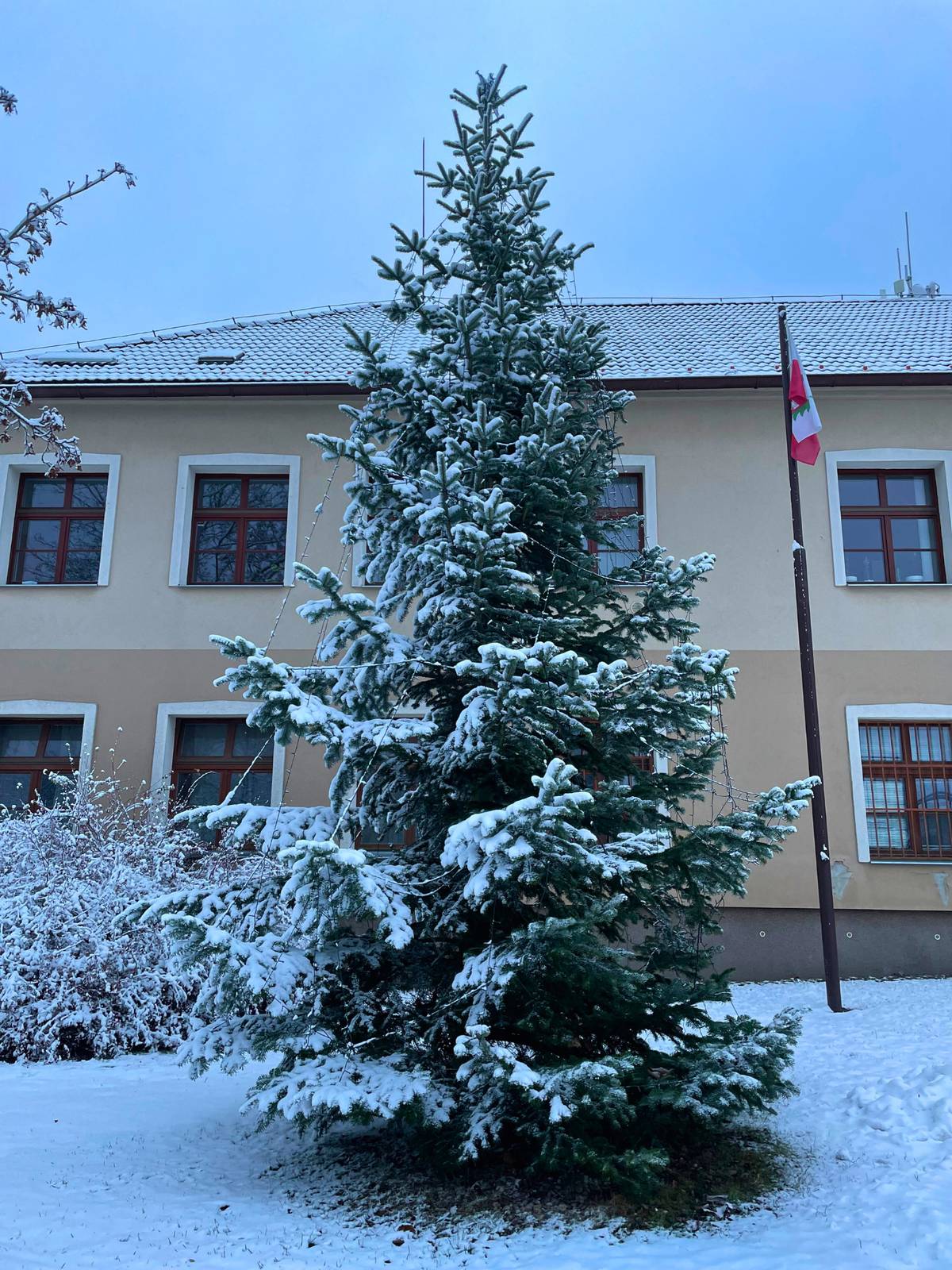 Náš obecní vánoční strom u úřadu nám do příštích Vánoc zase o kousek povyroste 🌲 Vaše přírodní vánoční stromky, pro které už doma nenajdete další využití, můžete osobně odevzdat ve sběrném dvoře v otevíracích hodinách: 🕒 středa 15–17 hod. 🕗 sobota 8–12 hod. Děkujeme, že pomáháte udržovat obec čistou a upravenou ♻️