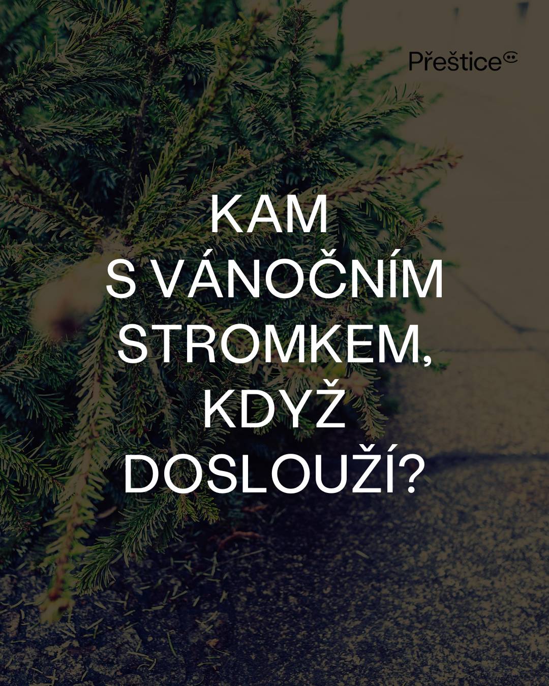 Odstrojené vánoční stromky můžete během ledna odkládat vedle sběrných míst na separovaný odpad, odkud je odvezeme při pravidelném svozu. Další možností je odevzdat stromek na sběrném dvoře v Průmyslové ulici během běžné otevírací doby.       🌿 Máte-li možnost, rozdrťte stromek štěpkovačem na malé kousky. Ty můžete využít jako mulč nebo přidat do kompostu. Tento způsob je nejlevnější a k přírodě nejšetrnější.        🚫 Pozor! Menší stromky nebo větve nepatří do hnědých nádob na bioodpad! Pomozte nám udržet pořádek a ekologické zpracování odpadu.