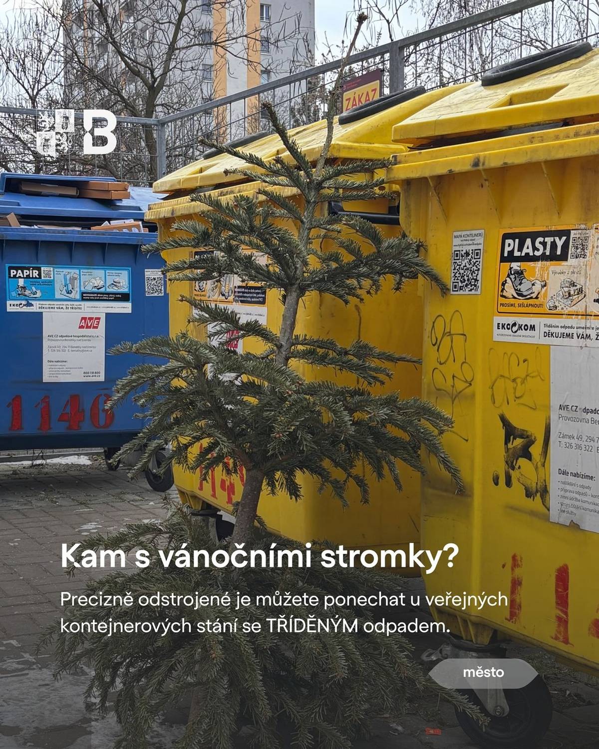 Společnost AVE začíná se svozy vánočních stromečků. Pokud chcete využít této služby, zanechte, prosíme, precizně odstrojený stromek u kontejnerového stání na tříděný odpad – barevné popelnice. Pokud se o likvidaci stromku postaráte po vlastní ose, můžete využít sběrné dvory: Brandýs nad Labem - Strojírenská 2345  Stará Boleslav – Mělnická 951 Děkujeme!