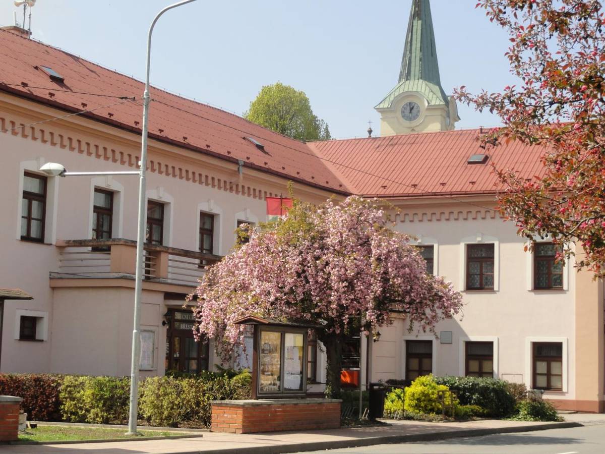 bližší informace v PDF v příloze