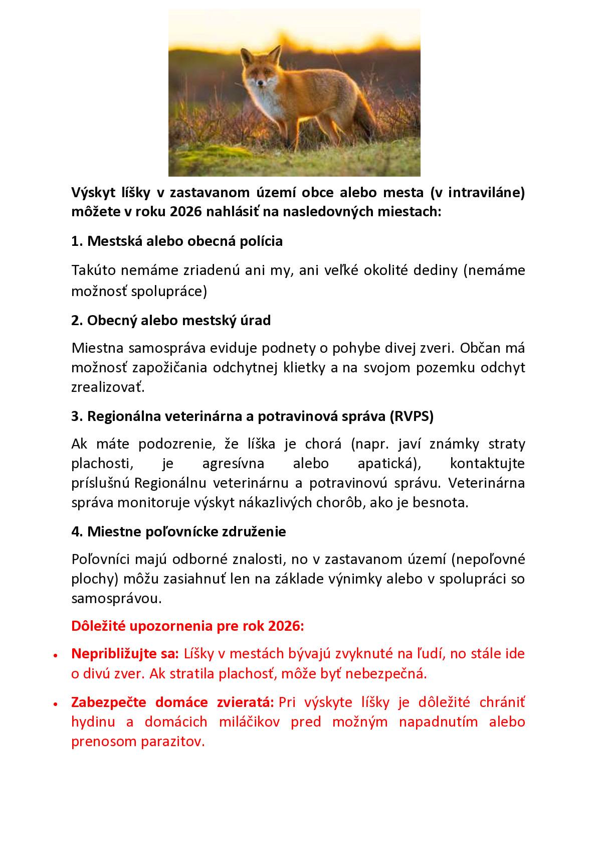 Výskyt líšky v našej obci