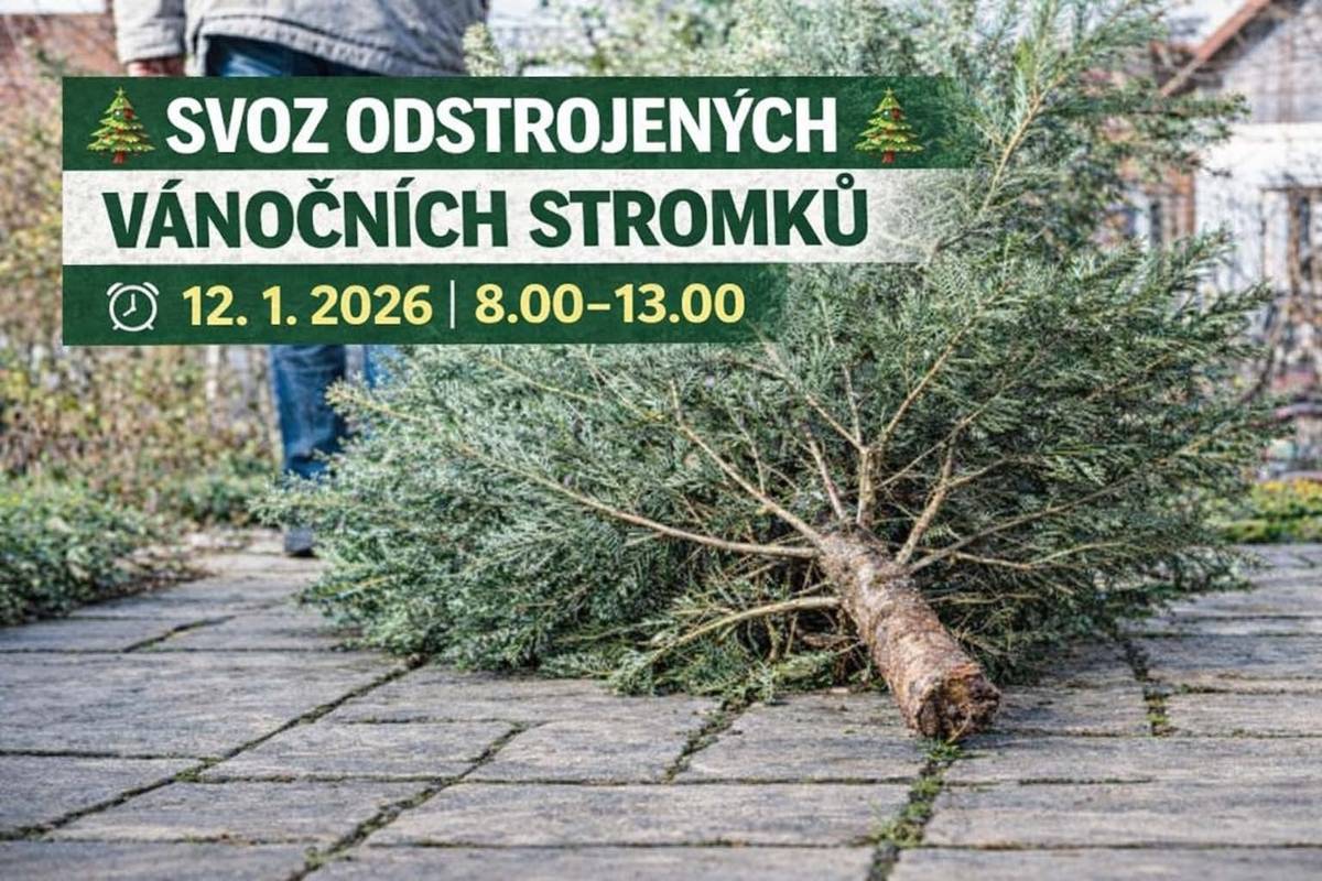Obec Rohov nabízí svým občanům službu svozu odstrojených vánočních stromků přímo od vašich nemovitostí. SBĚR PROBĚHNE POUZE DNE 12.1.2026 V DOBĚ OD 8.00 - 13.00 HODIN Prosíme, odstraňte ze stromků veškeré ozdoby, háčky,řetězy a stojany. Stromky odkládejte na viditelném místě před  vašimi nemovitostmi, ideálně ke komunikaci pro zajištění bezproblémového svozu.