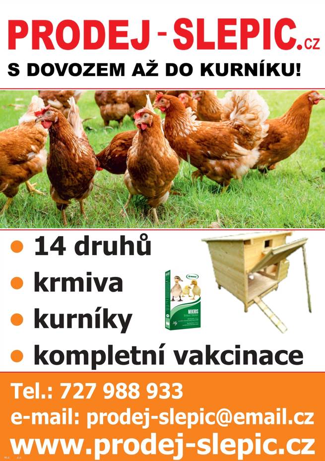Dobrý den,  14 druhů, krmiva, kurníky, kompletní vakcinace.  Děkujeme. Obec Dolní Heřmanice