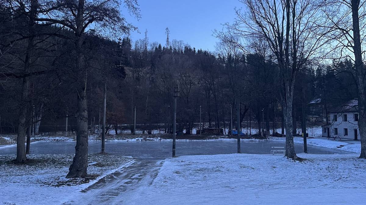 Informace pro bruslaře Během dnešního sobotního dopoledne probihá údržba ledové plochy na Panuškách. Ve 13.30 hod. se zde uskuteční hokejové utkání místních týmů.  Z tohoto důvodu žádáme všechny malé i velké bruslaře, aby NEVSTUPOVALI na kluziště. Po skončení zápasu bude plocha opět spoluobčanům k dispozici. Děkujeme za pochopení a ohleduplnost.