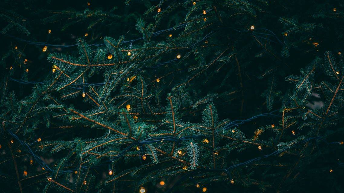 Pracovníci úseku údržby Obecného úradu Smolenice budú v pondelok 12. januára 2026 zbierať použité vianočné stromčeky.