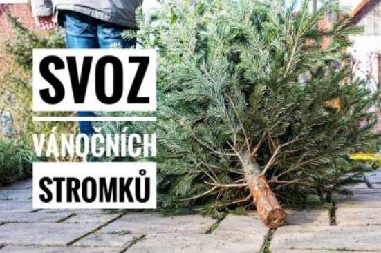 V pátek 9. ledna a v pondělí 12. ledna 2026 v dopoledních hodinách bude v obci proveden svoz vánočních stromků. Zájemci ať stromky připraví před své domy.