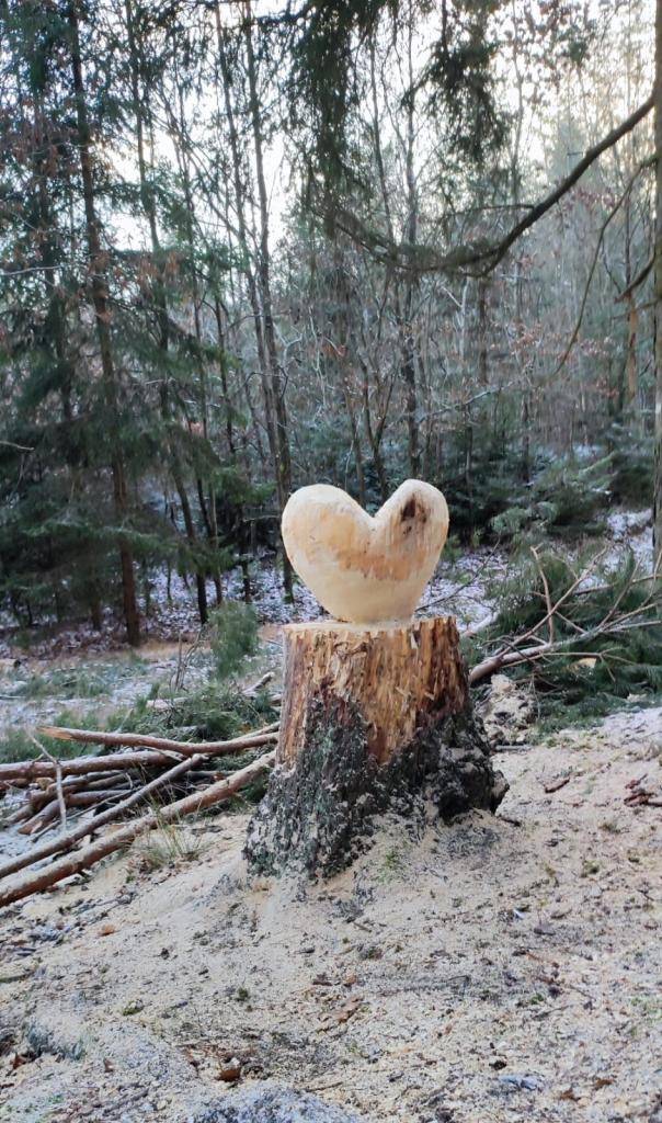 Přinášíme malý výletní tip, který si každý může přizpůsobit podle chuti, času i počasí.  Dřevěné Srdce pro Sedmihoří, které vytvořili pan Valkony a pan Karel z Telic, najdete na Naučné stezce Sedmihoří, konkrétně mezi 4. a 5. zastavením, v místě zvaném „U pusinky“.