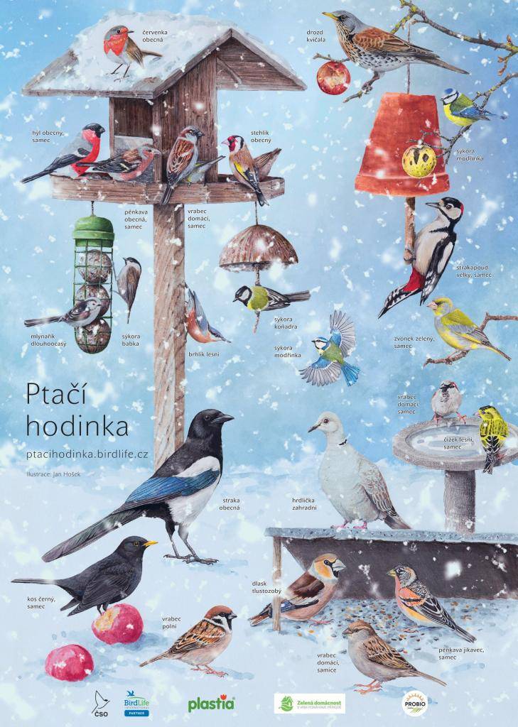 Ptačí hodinka 2026