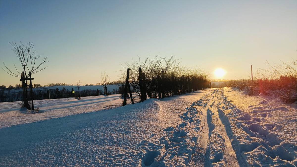 V okolí Bezděkova nad Metují jsou v těchto dnech vyjeté bílé stopy pro běžkaře a aktuální počasí vytváří velmi příznivé podmínky pro zimní sporty. Jde o situaci, která se v posledních letech objevovala spíše výjimečně, a stojí za to ji využít.